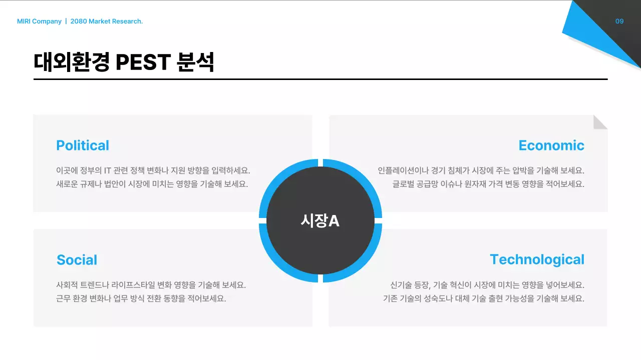 검정 모던 시장 보고서 분석