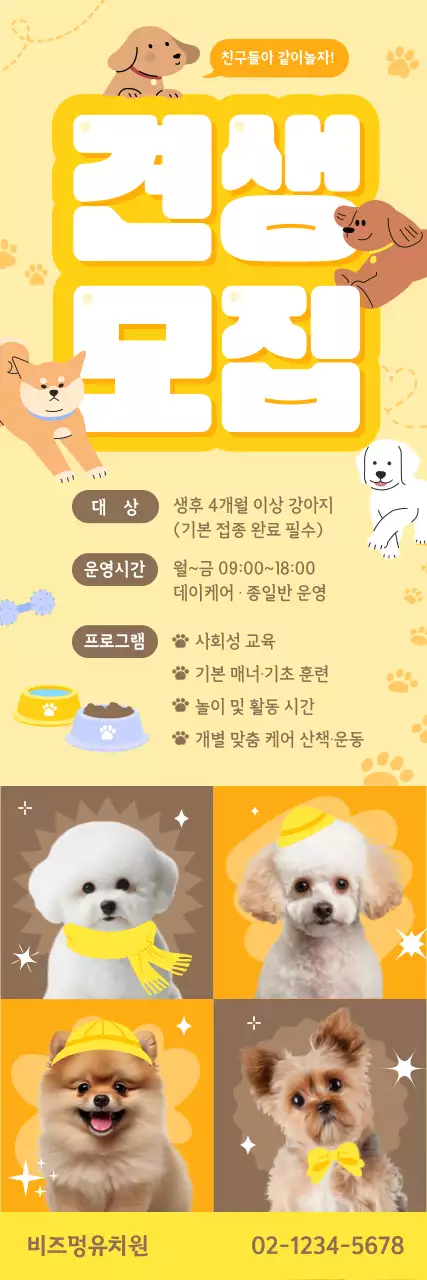 노랑 아기자기한 반려동물 모집