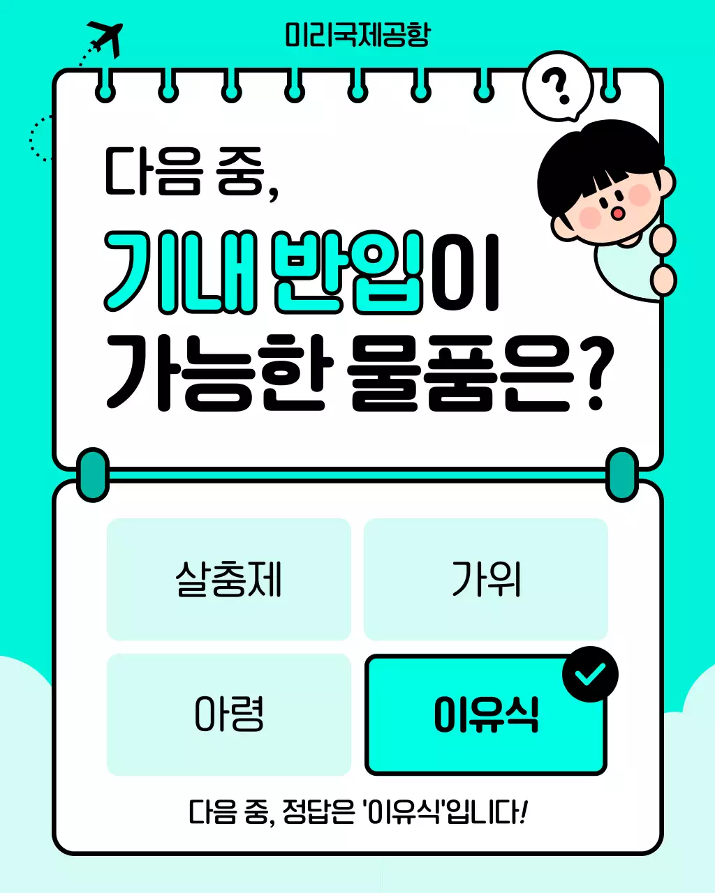 민트 깔끔 항공 안전 안내