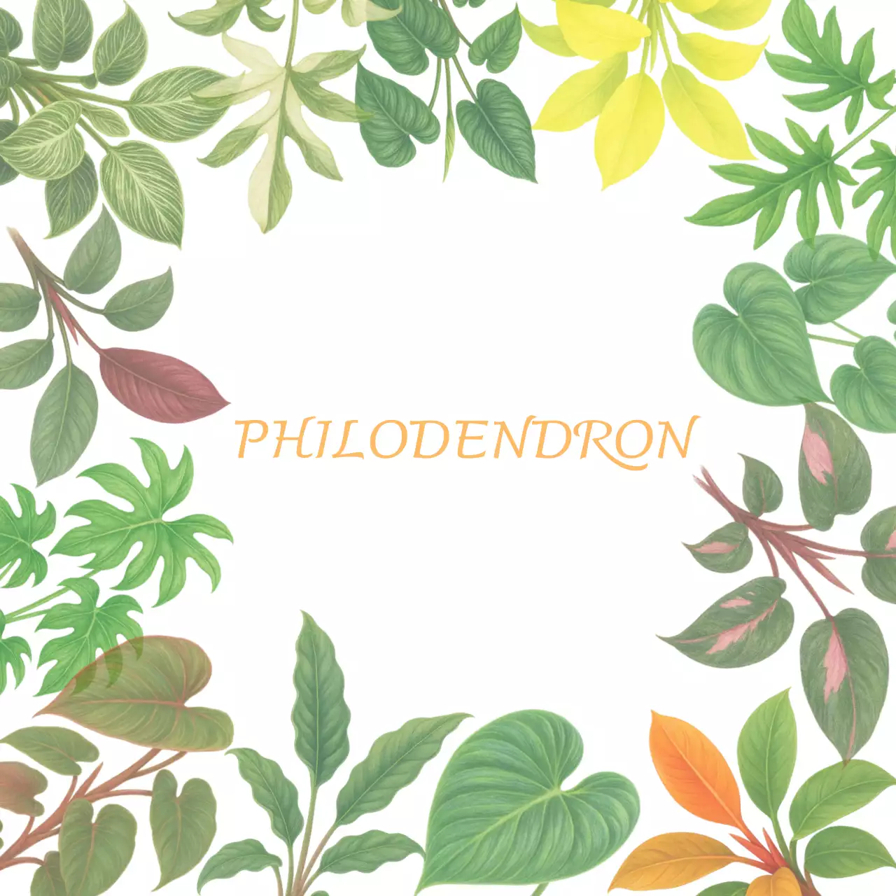 초록 싱그러운 '나무를 사랑하는 식물' 필로덴드론 포토프레임