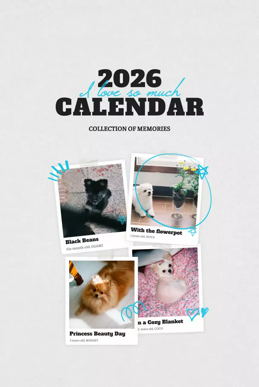 흰색 깔끔 발려동물 포토 캘린더