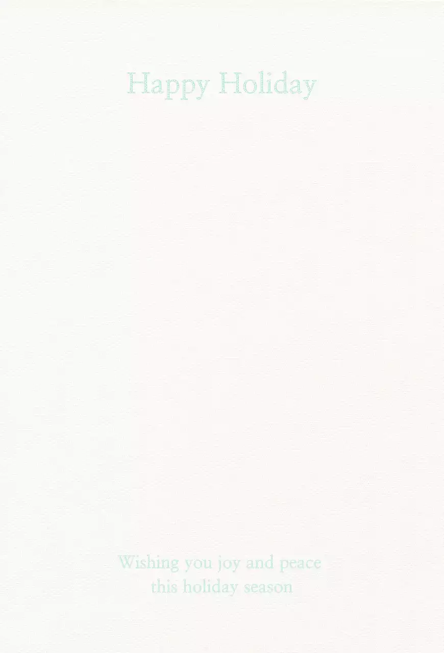 빨간색과 초록색의 심플한 크리스마스 기념 엽서 편지