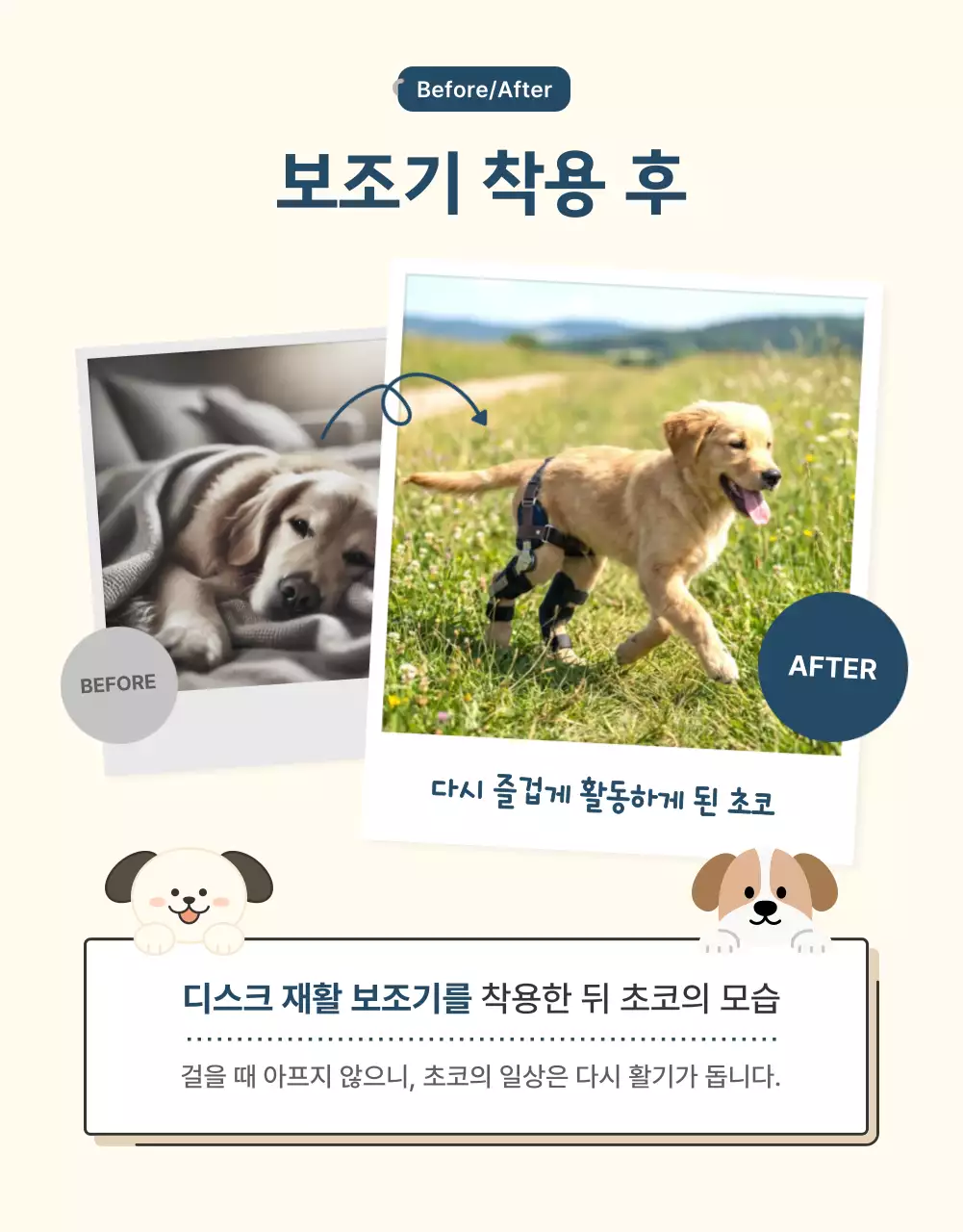 남색의 모던한 반려동물 보조기 제품 홍보