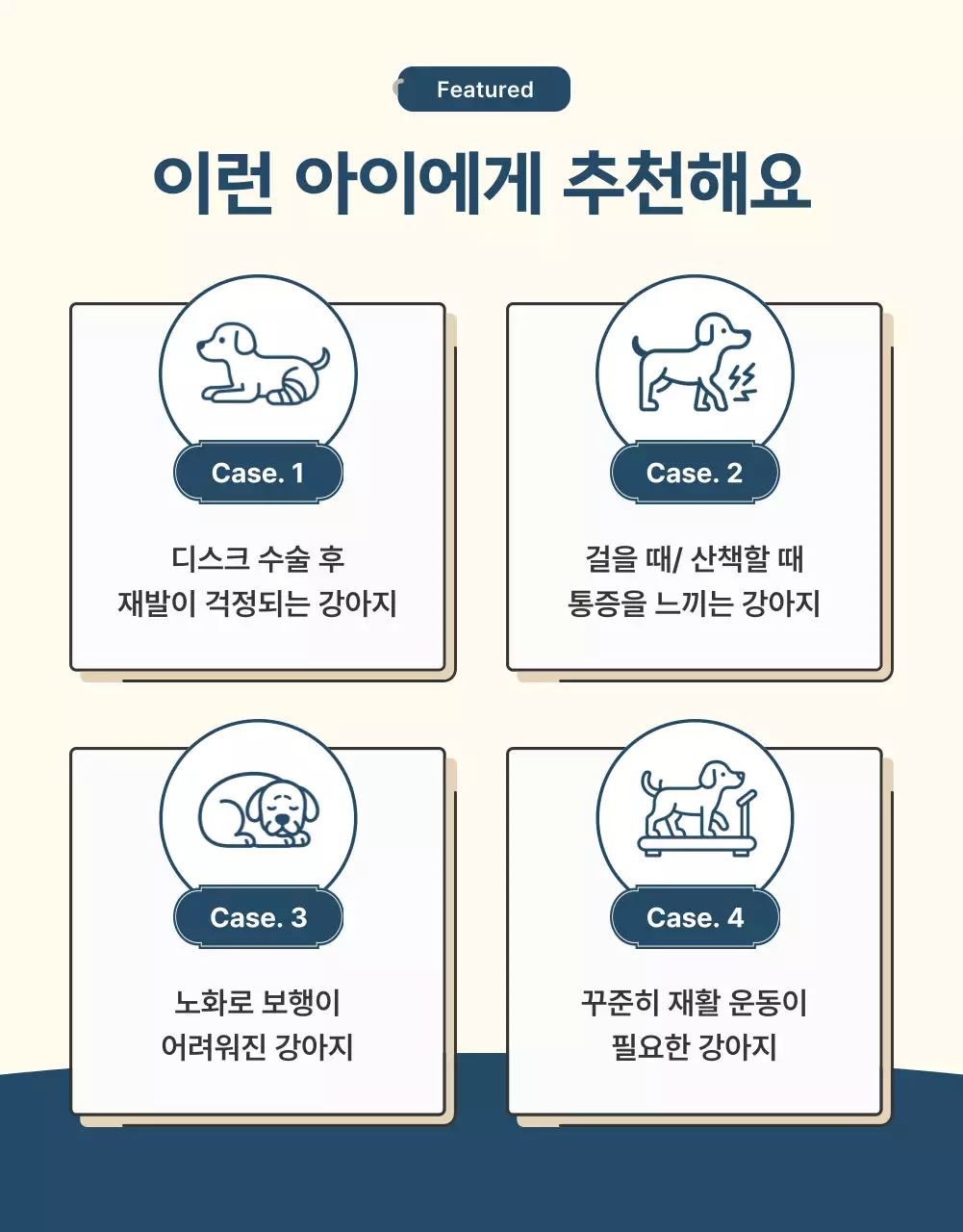 남색의 모던한 반려동물 보조기 제품 홍보