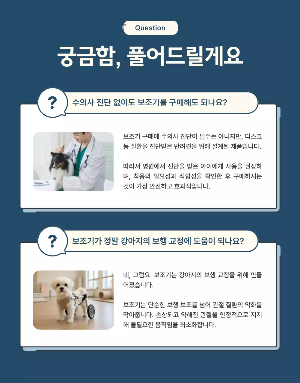 남색의 모던한 반려동물 보조기 제품 홍보