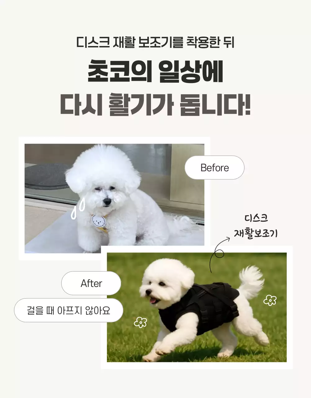 흰색 모던 반려동물 광고