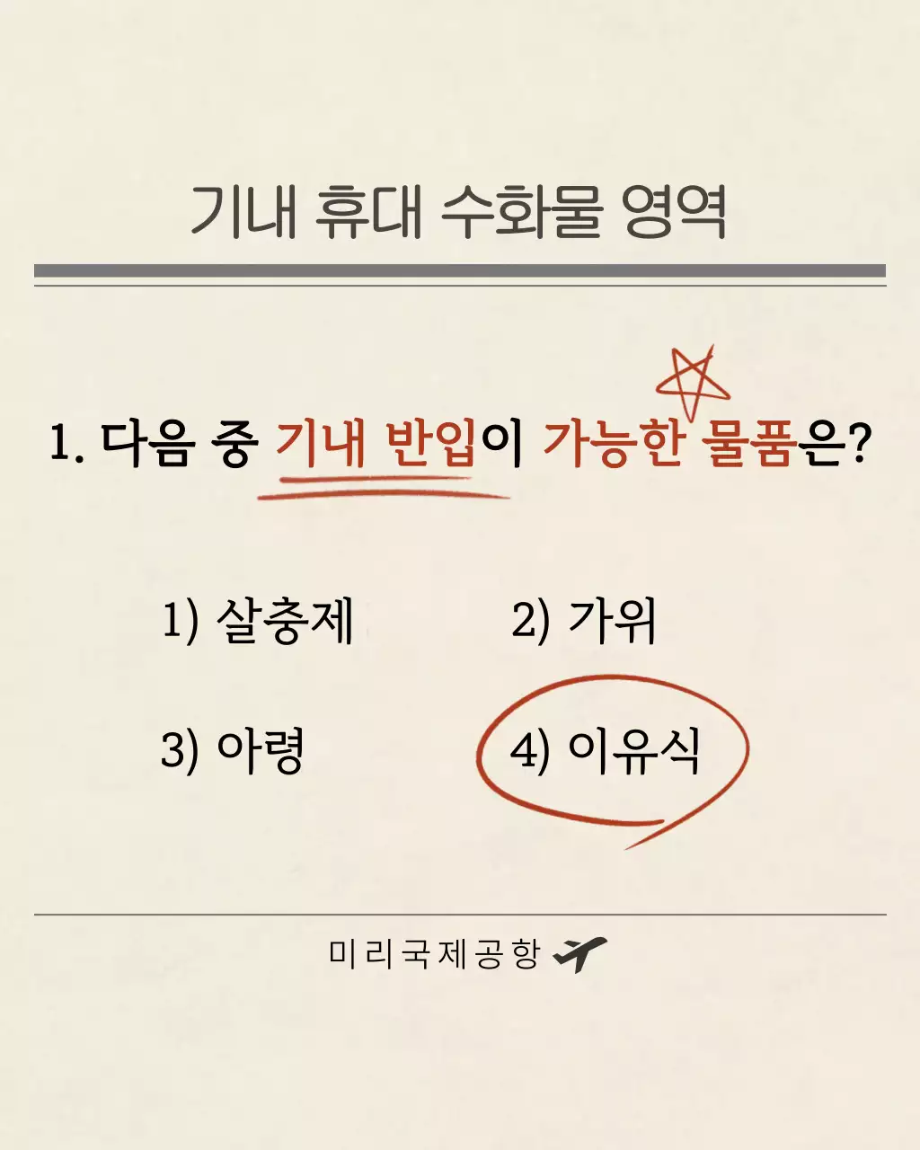 베이지 깔끔 공항 안전 기내 휴대 수화물 지침