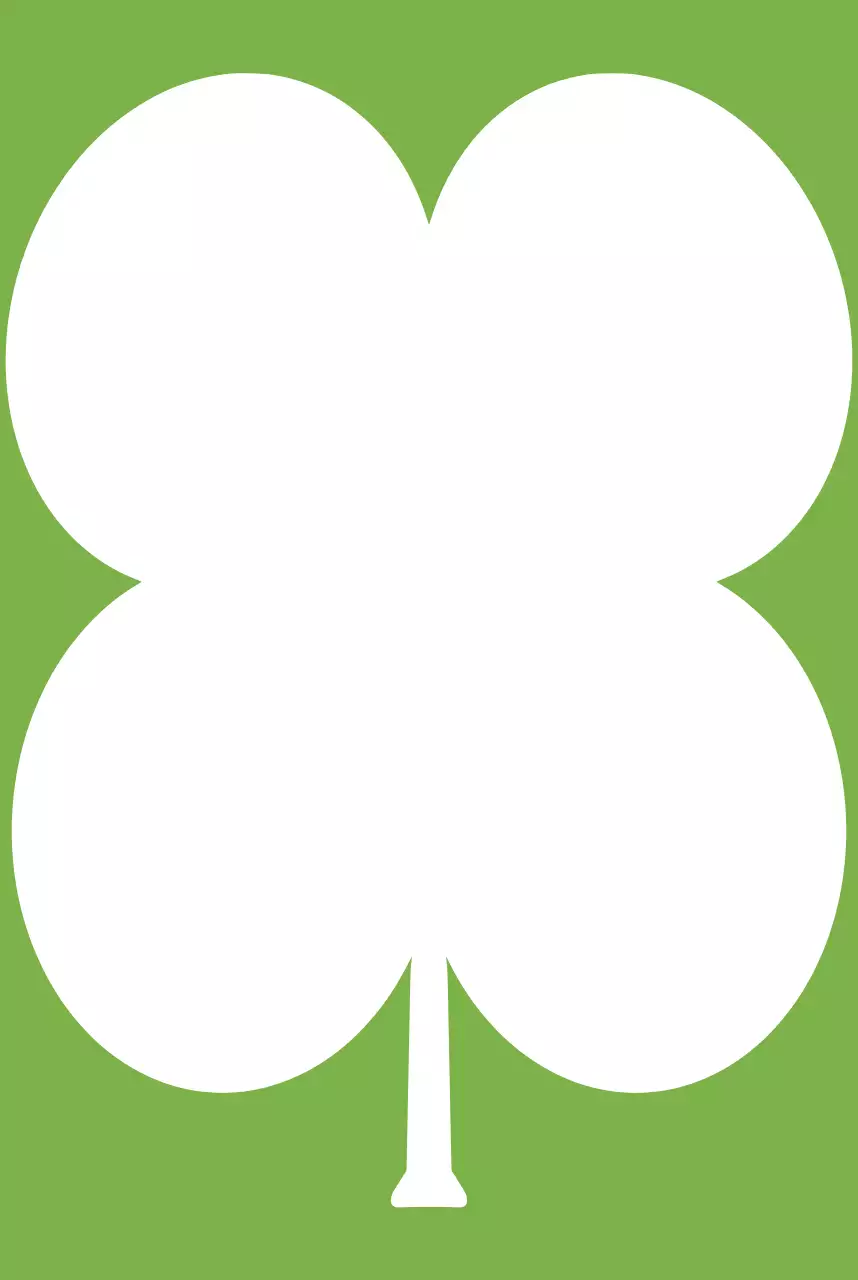 초록색의 귀여운 행운의 곰돌이 편지