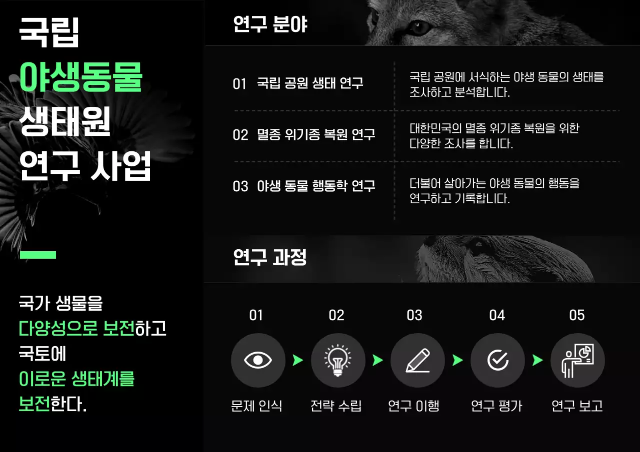 초록 모던 생태 연구 보고