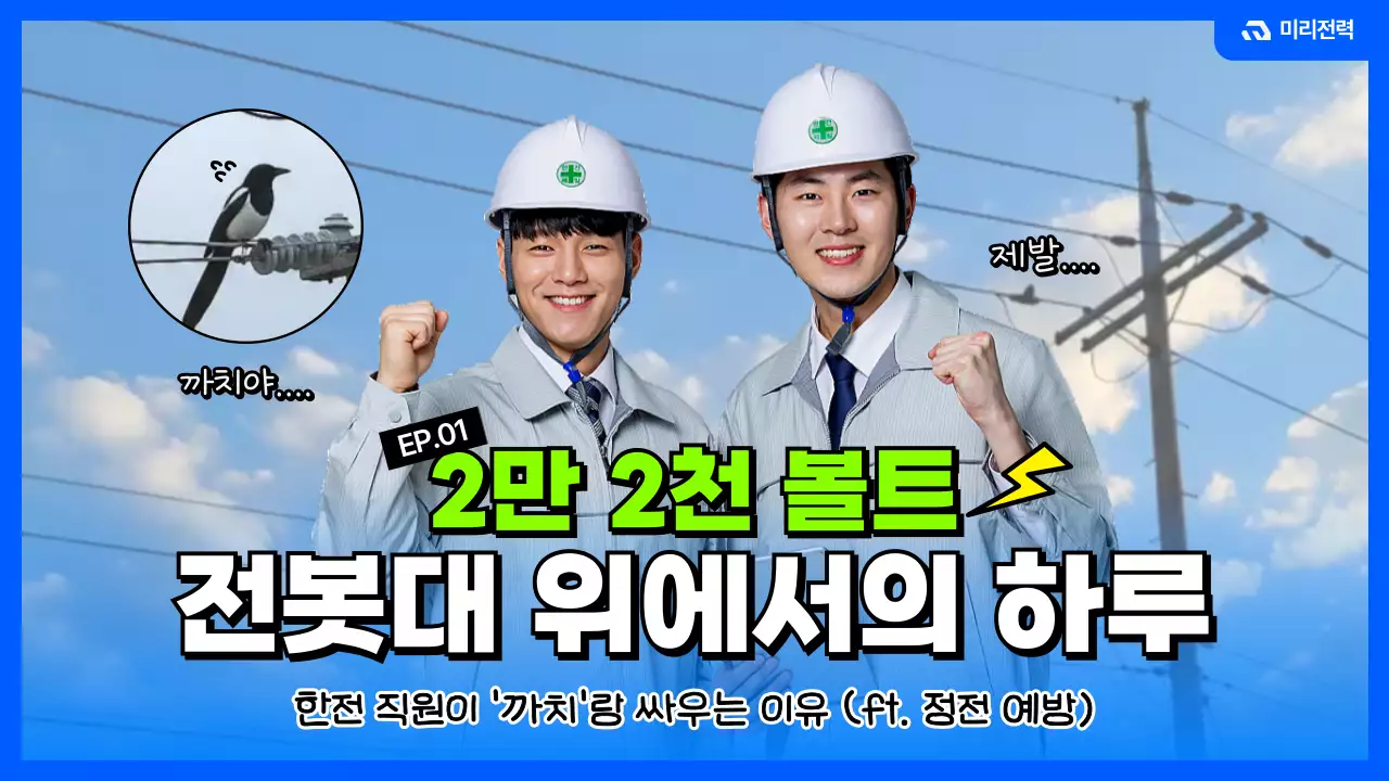 파랑의 배전 담당 직원 업무 안내