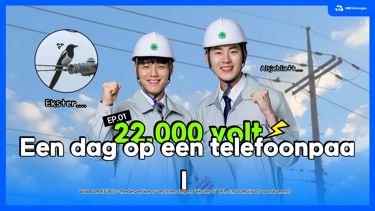 Werkhandleiding voor medewerkers van Blue Distribution