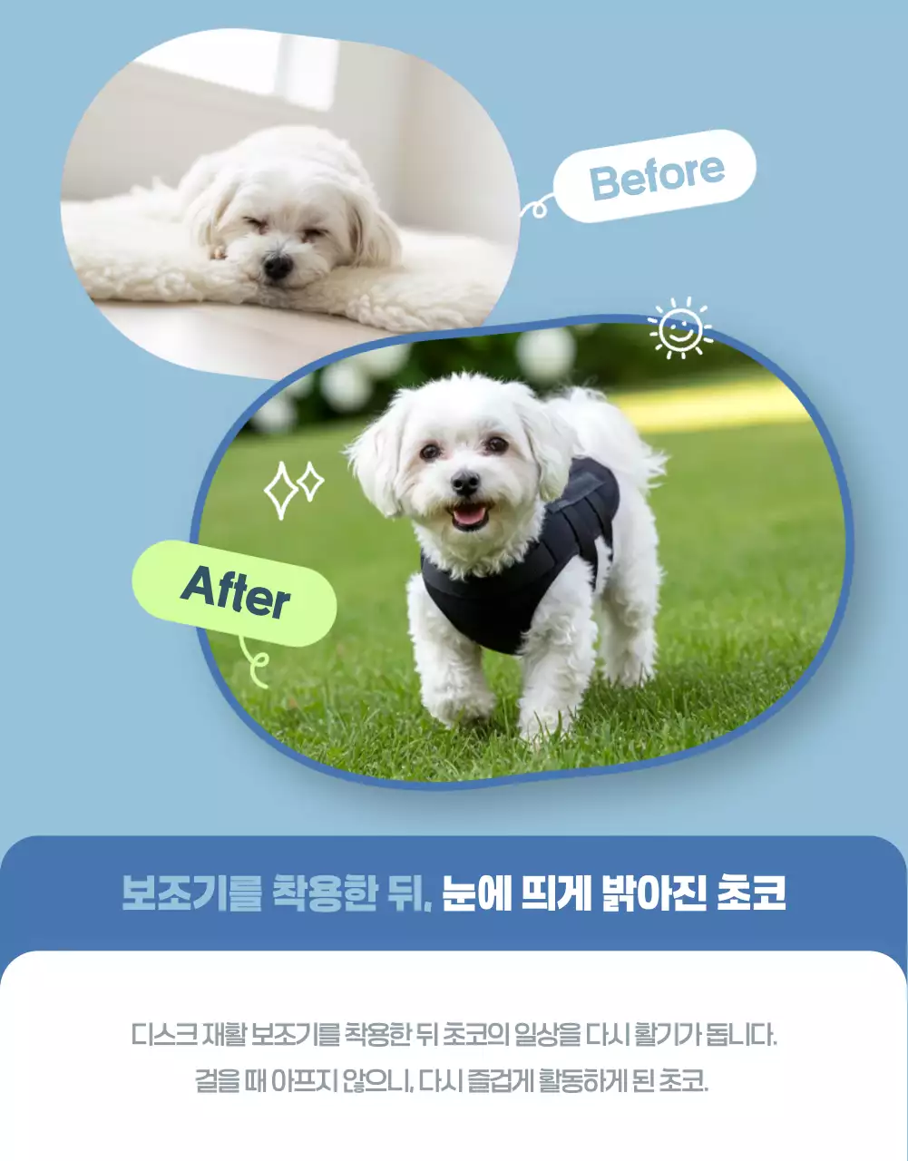 하늘색 심플 반려동물 광고