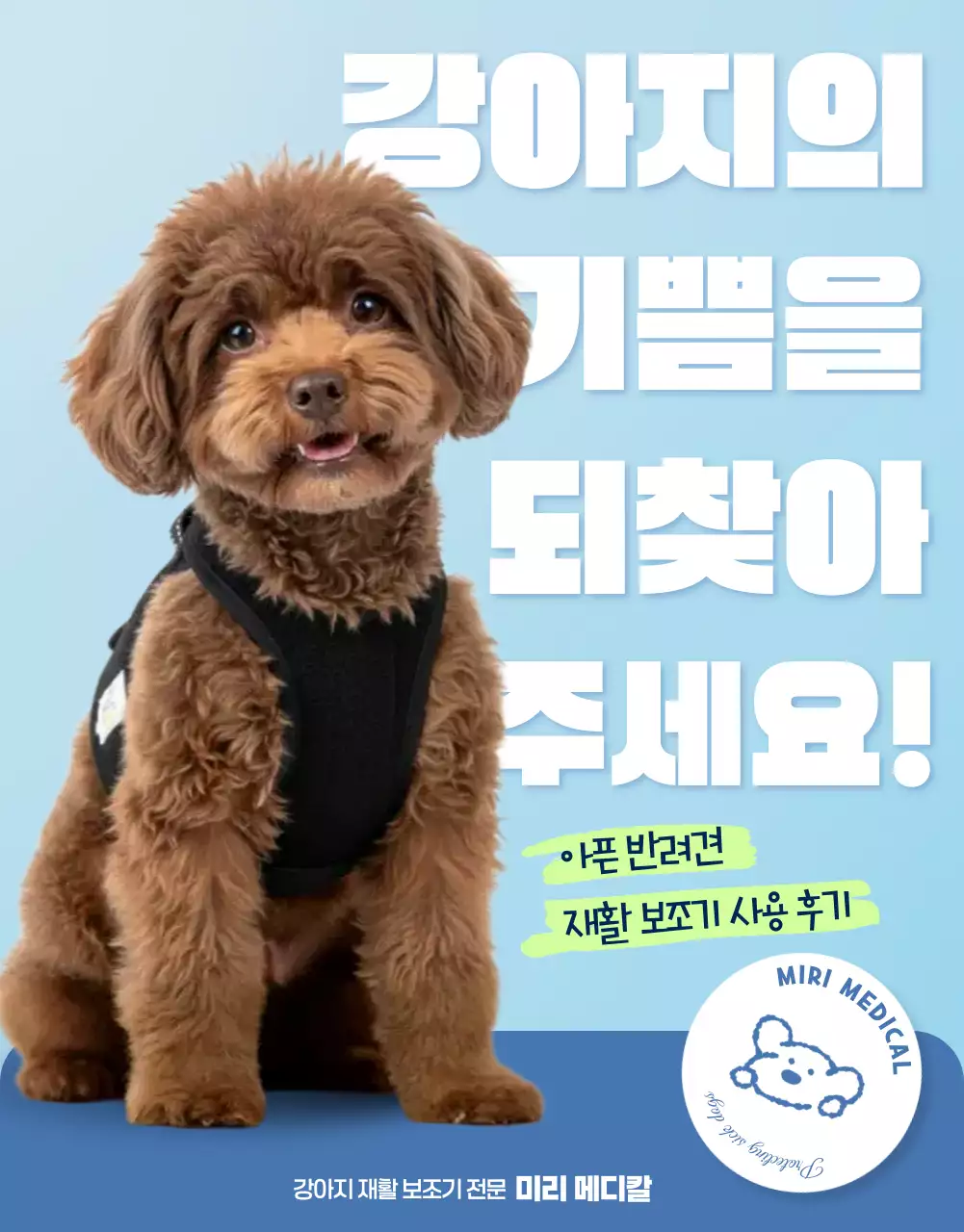 하늘색 심플 반려동물 광고