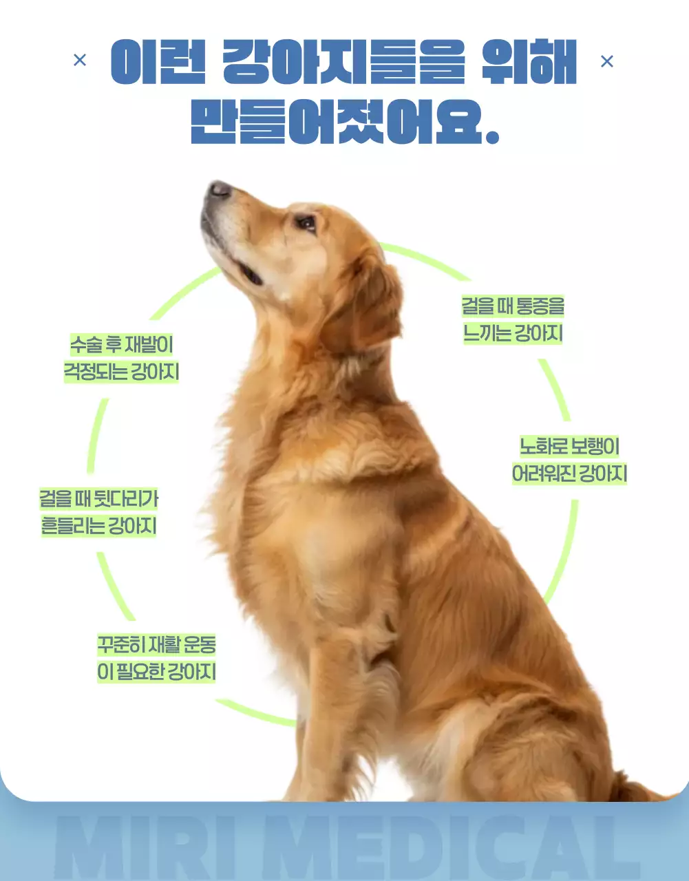 하늘색 심플 반려동물 광고