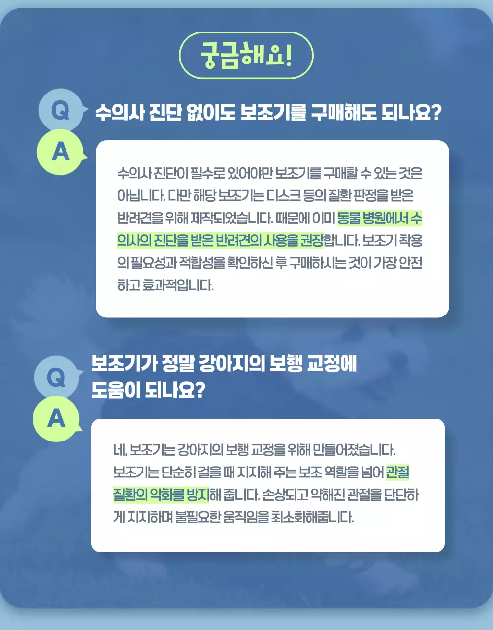 하늘색 심플 반려동물 광고