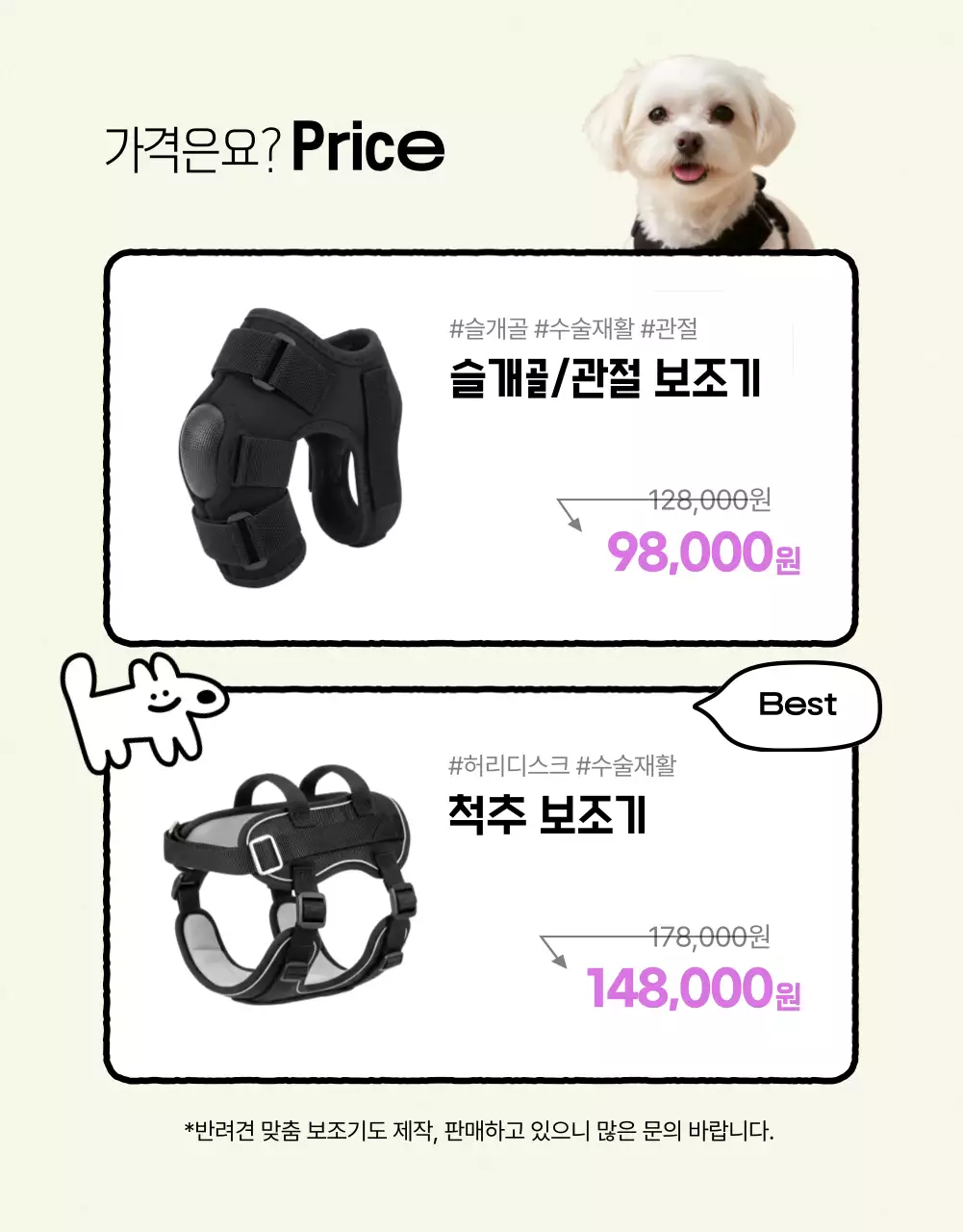 연두 아기자기한 반려동물 건강