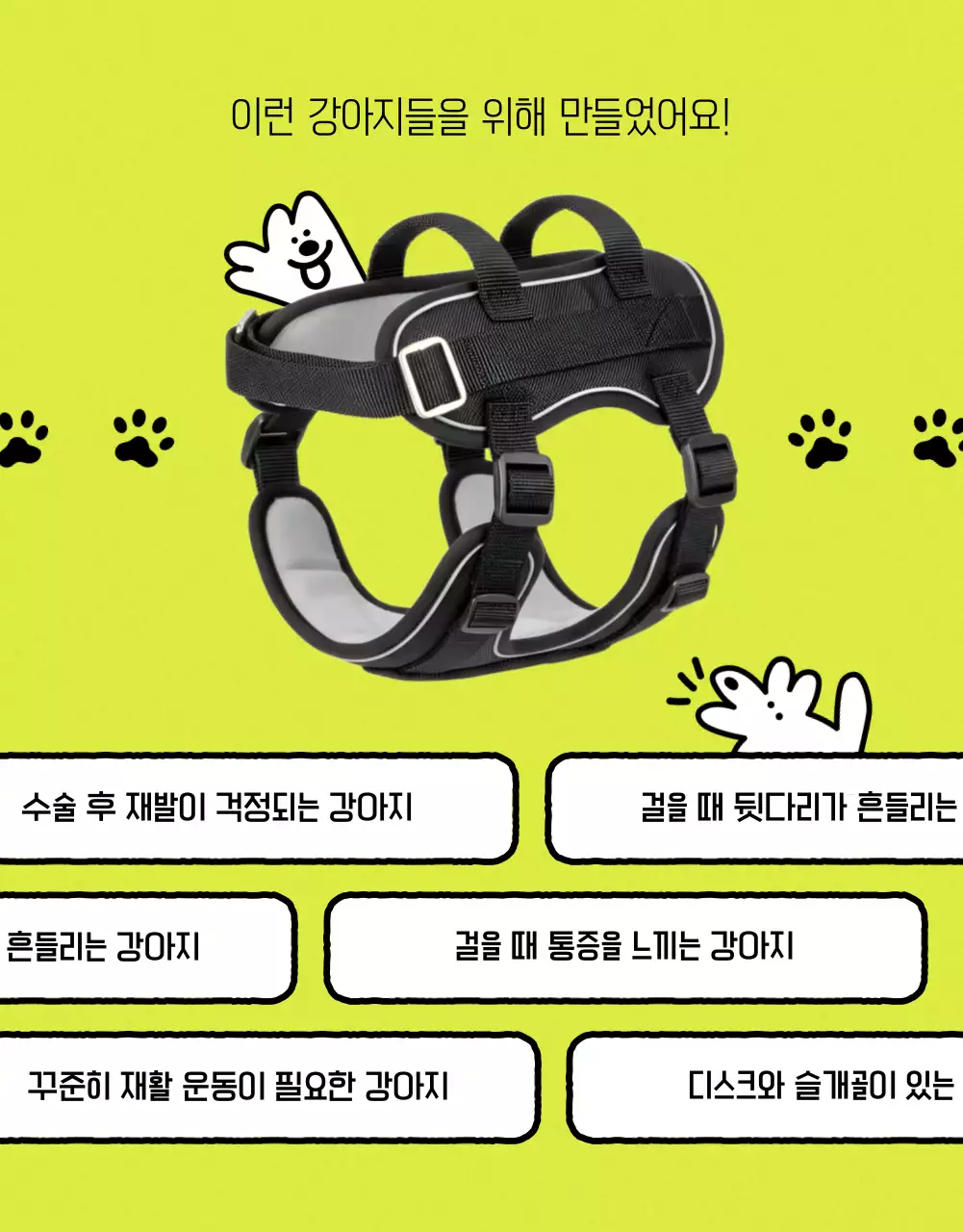 연두 아기자기한 반려동물 건강