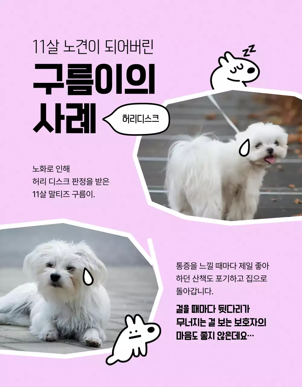 연두 아기자기한 반려동물 건강