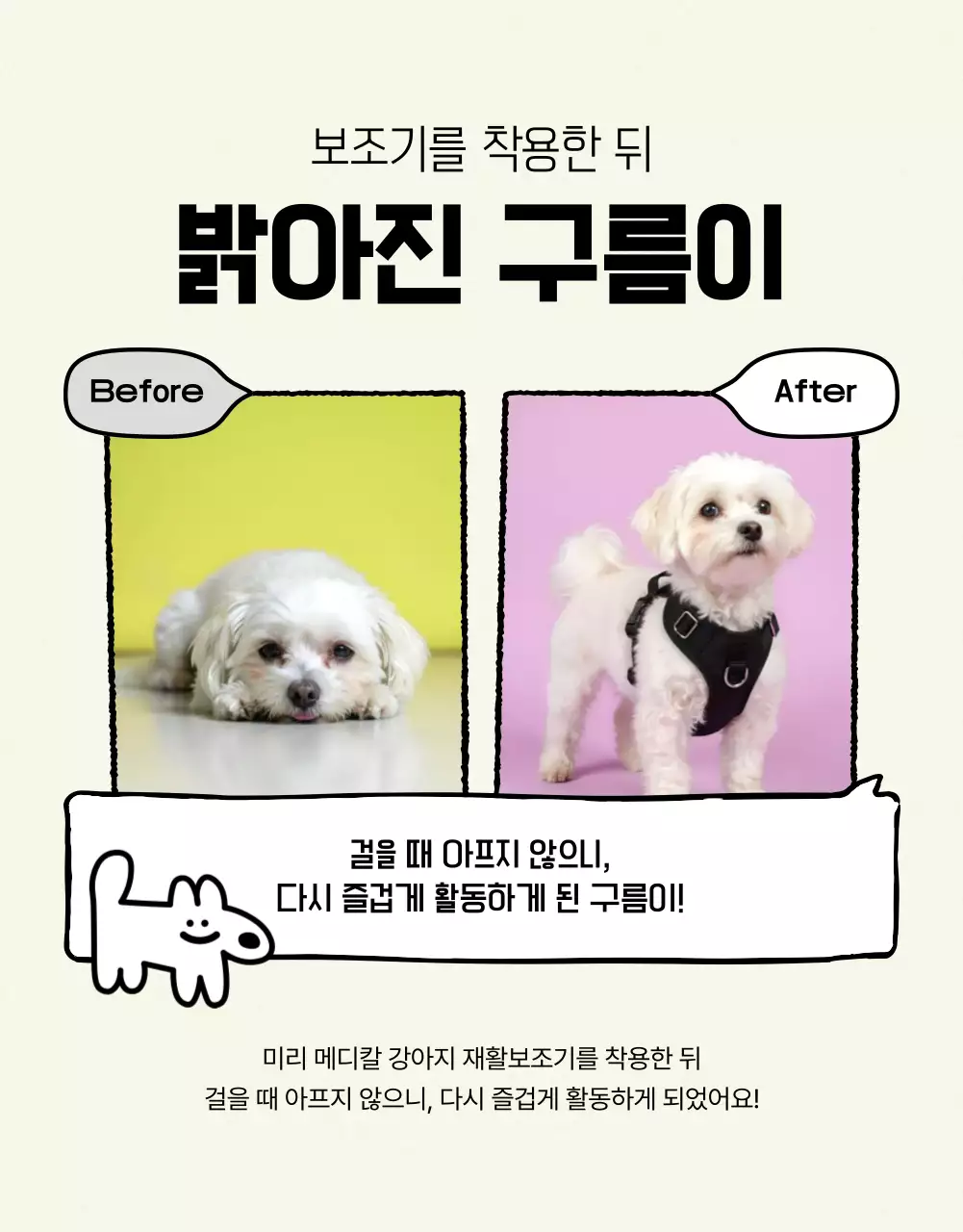 연두 아기자기한 반려동물 건강