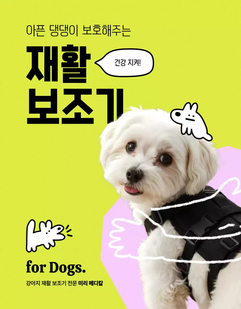 연두 아기자기한 반려동물 건강