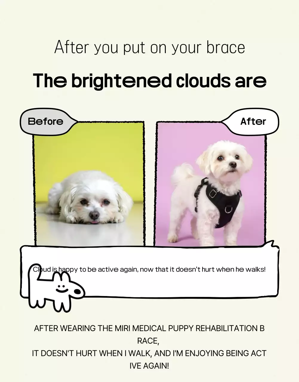 Kesehatan hewan peliharaan yang hijau dan menggemaskan