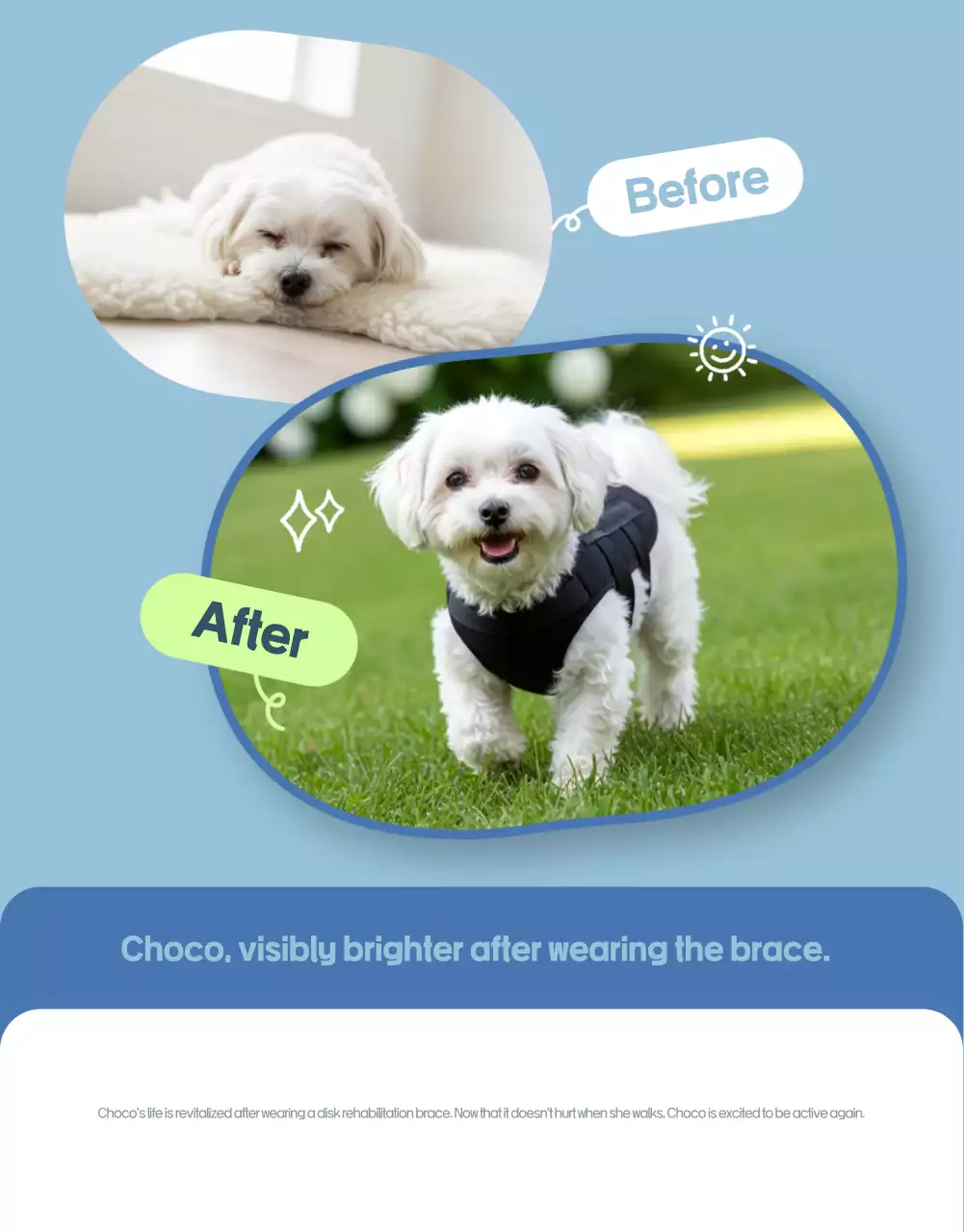 Sky Blue Simple Pet Advertisement