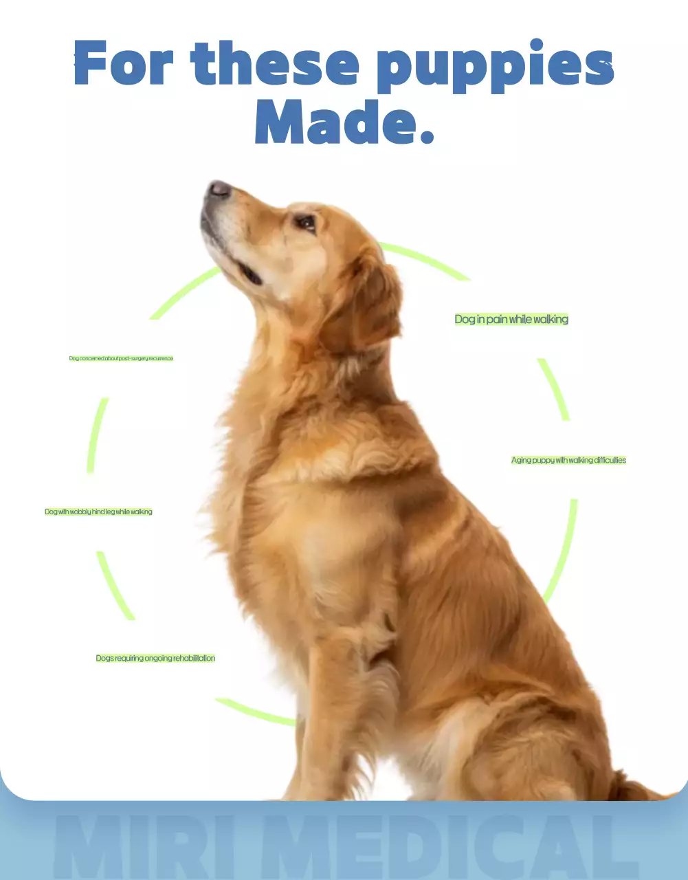 Sky Blue Simple Pet Advertisement