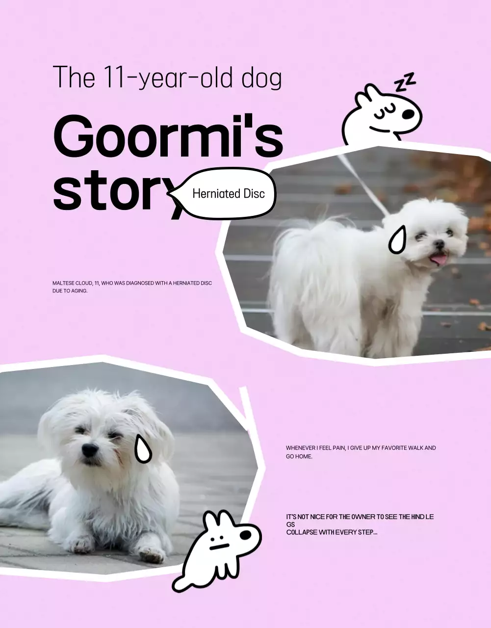 Kesehatan hewan peliharaan yang hijau dan menggemaskan