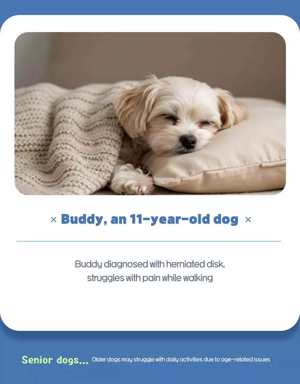 Sky Blue Simple Pet Advertisement