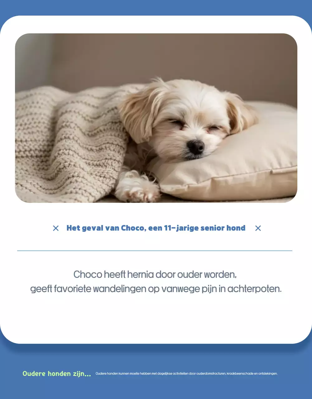 Sky Blue Simple Huisdier Advertentie