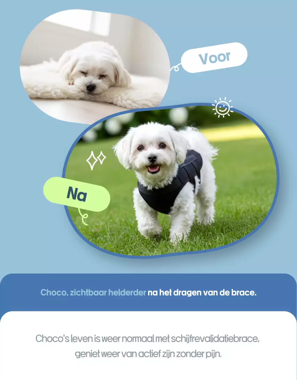 Sky Blue Simple Huisdier Advertentie