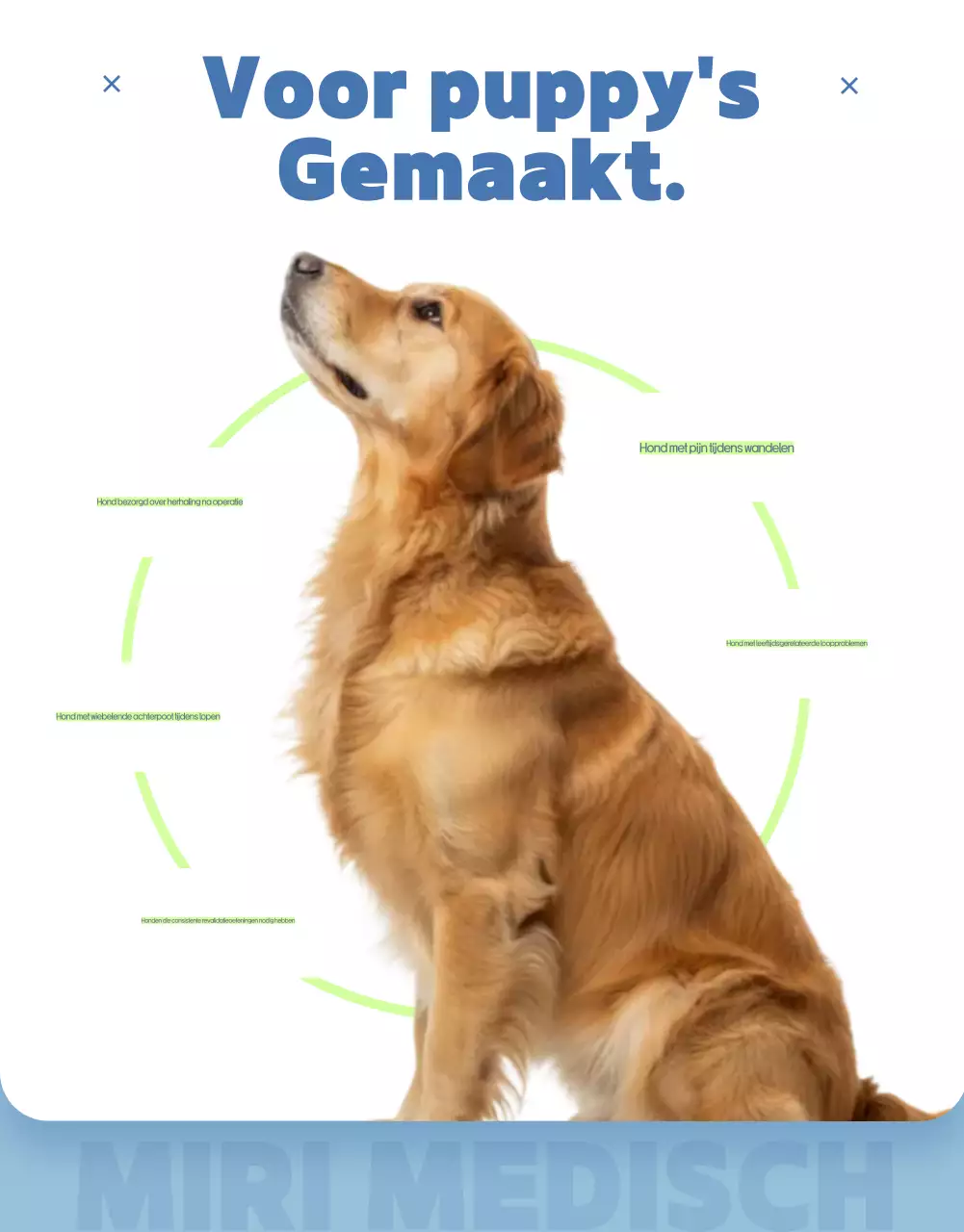 Sky Blue Simple Huisdier Advertentie