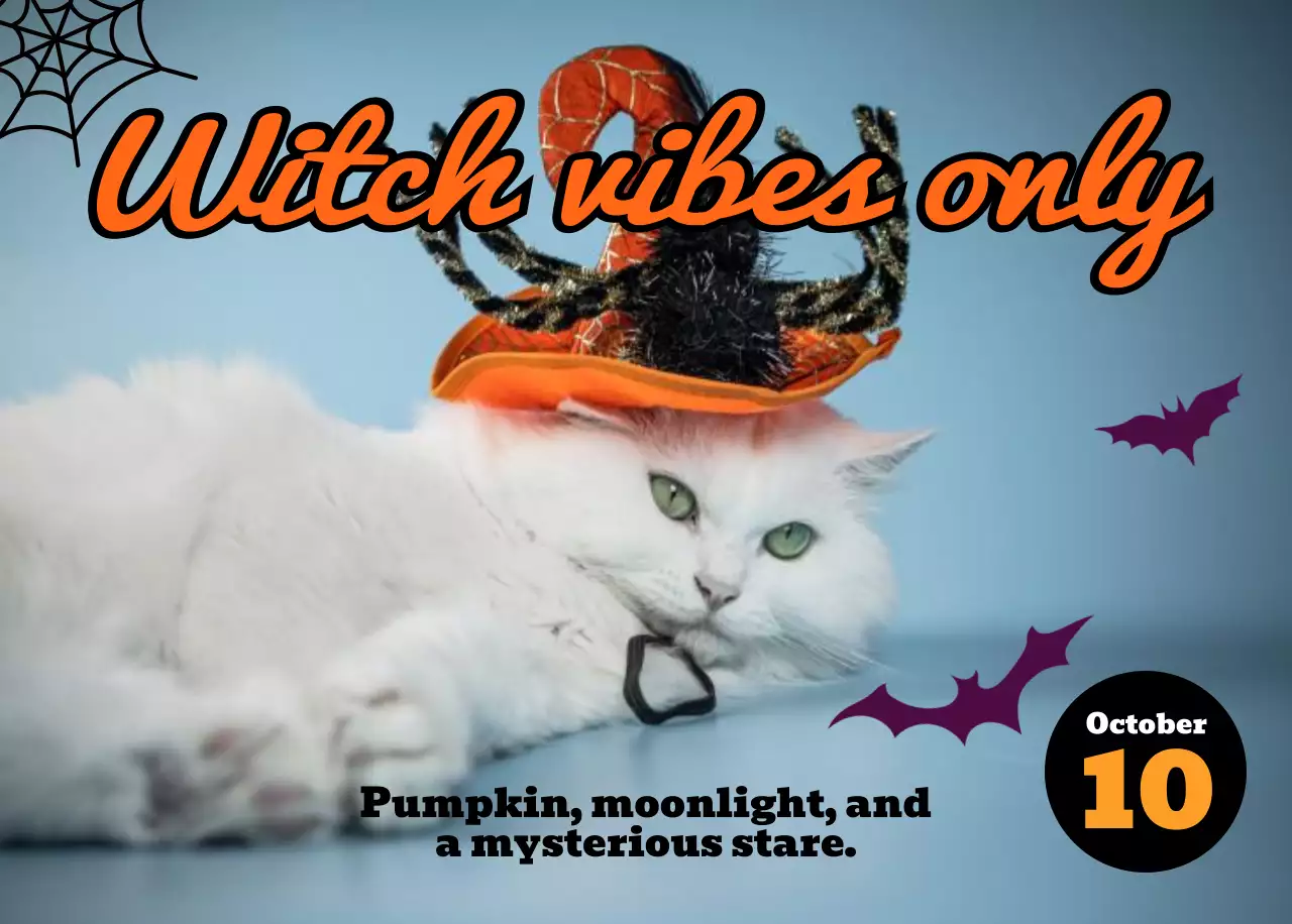 핑크 키치 고양이 캘린더