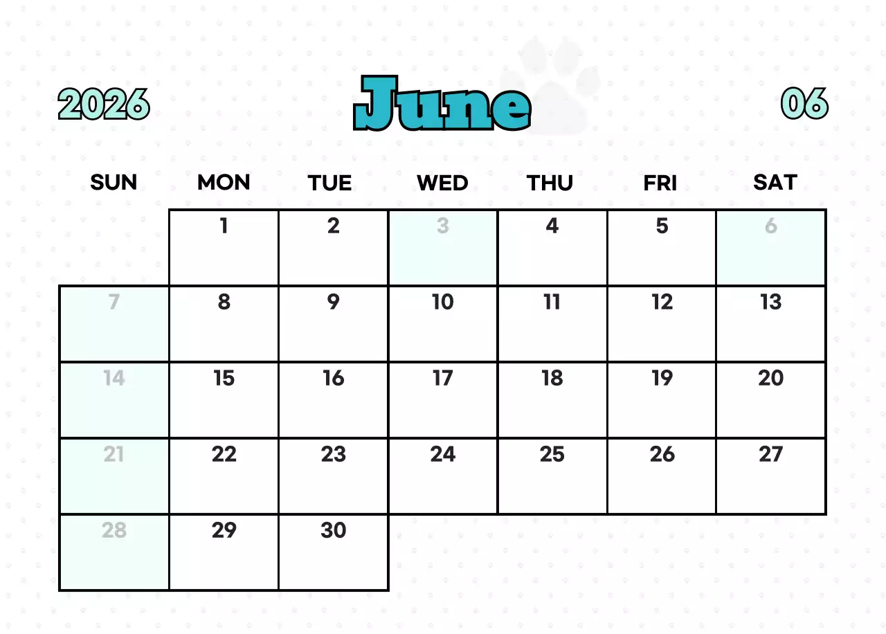 핑크 키치 고양이 캘린더