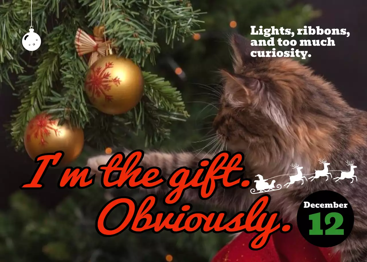 핑크 키치 고양이 캘린더