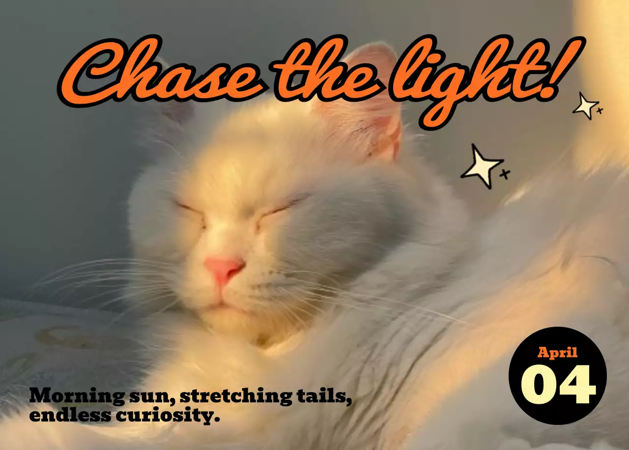 핑크 키치 고양이 캘린더