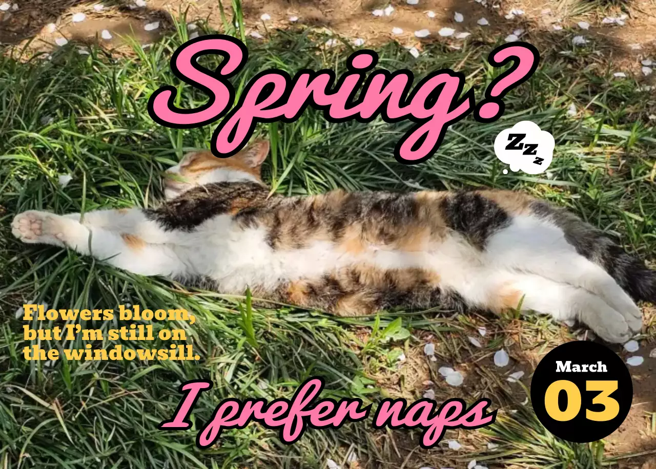 핑크 키치 고양이 캘린더