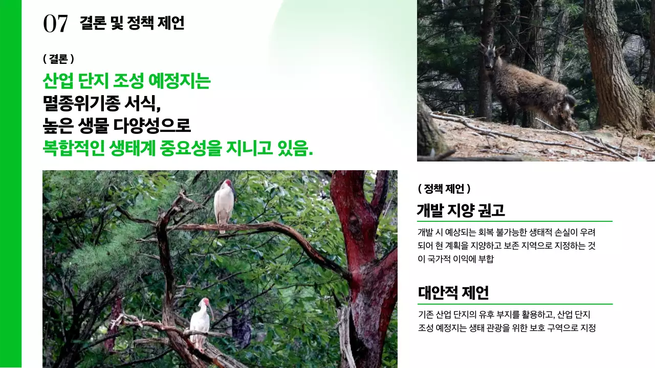 초록 심플 환경 보고서