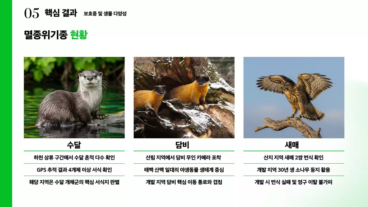 초록 심플 환경 보고서