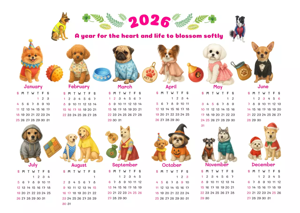 무지개 빛처럼 아기자기하고 귀여운 강아지 캘린더