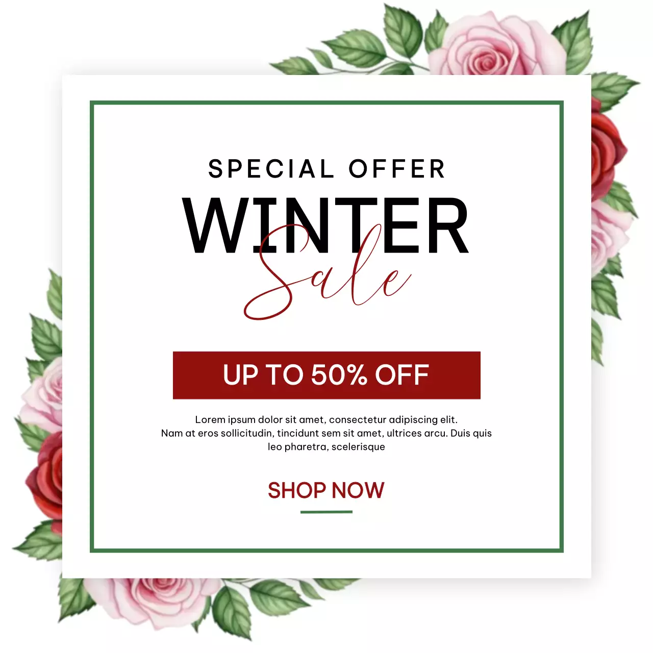 화이트 엘레강스 겨울 세일 프로모션