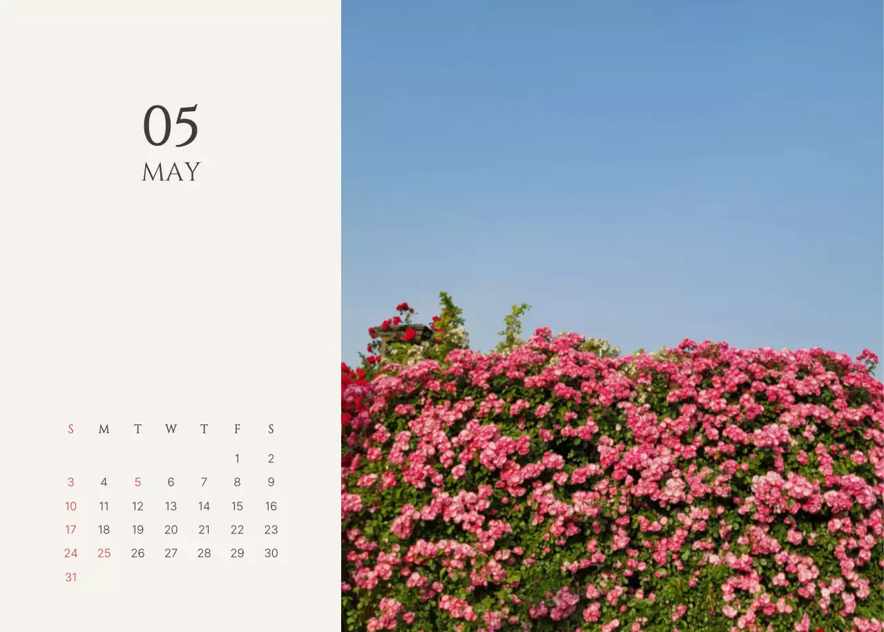 노랑 심플 캘린더 안내