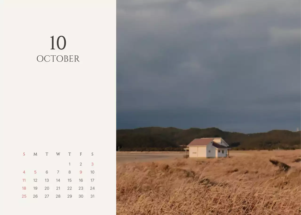 노랑 심플 캘린더 안내