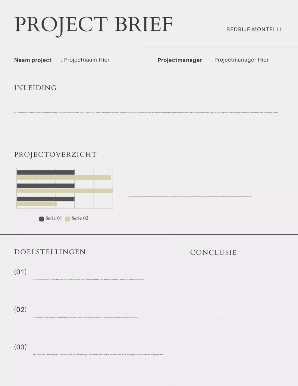 Projectbeschrijving/rapportbrief voor een minimalistisch project in zwart-grijs