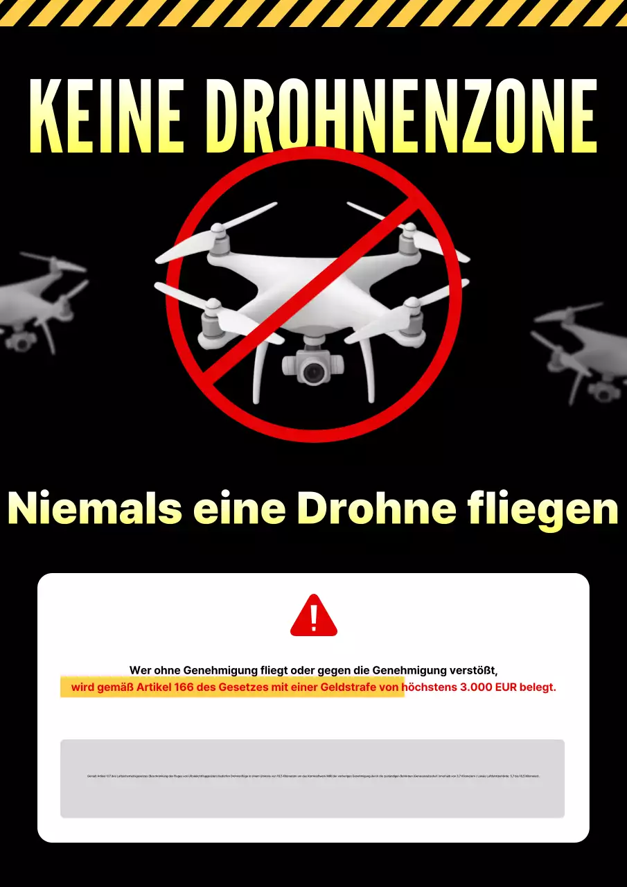 Schwarzes Basis-Drohnenrisiko