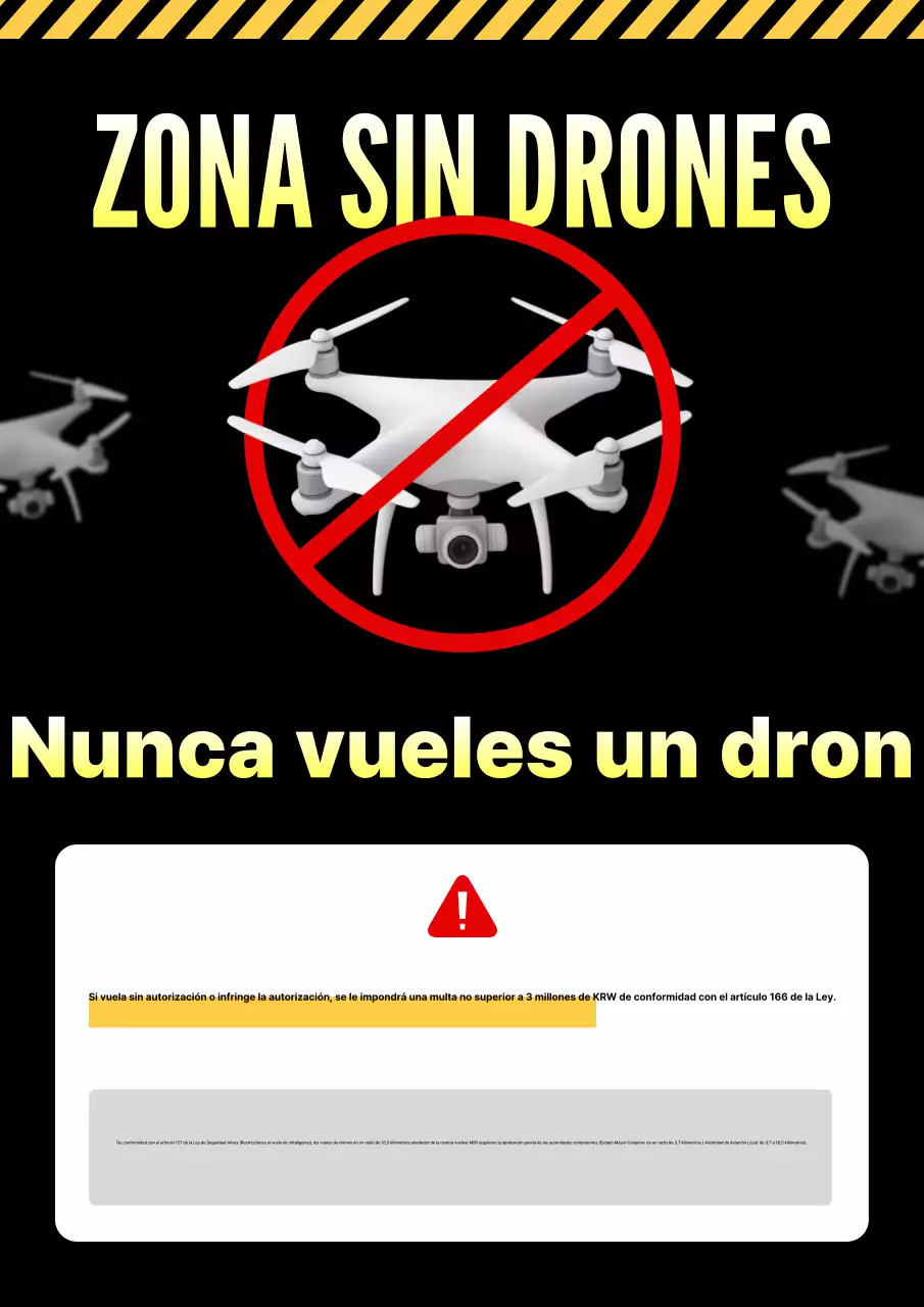 Riesgo básico de drones negros