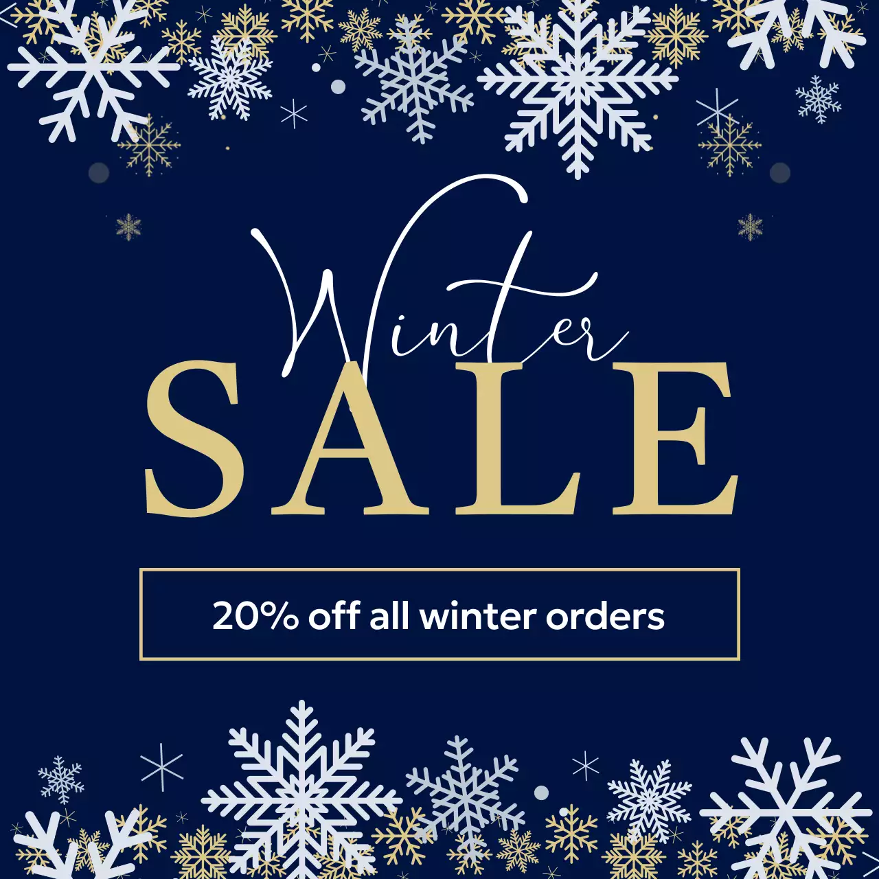 Navy Modern Winter Promotion Instagram Carousel