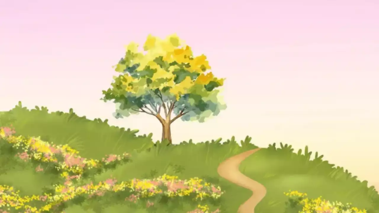 핑크 자연 풍경 엽서