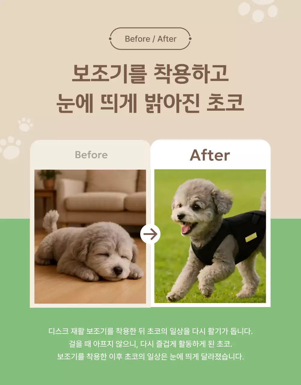 초록 모던 반려동물 재활 홍보