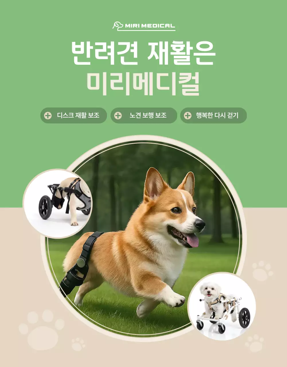 초록 모던 반려동물 재활 홍보